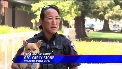 Officer Adopts Dog She Rescued from California Wildfire