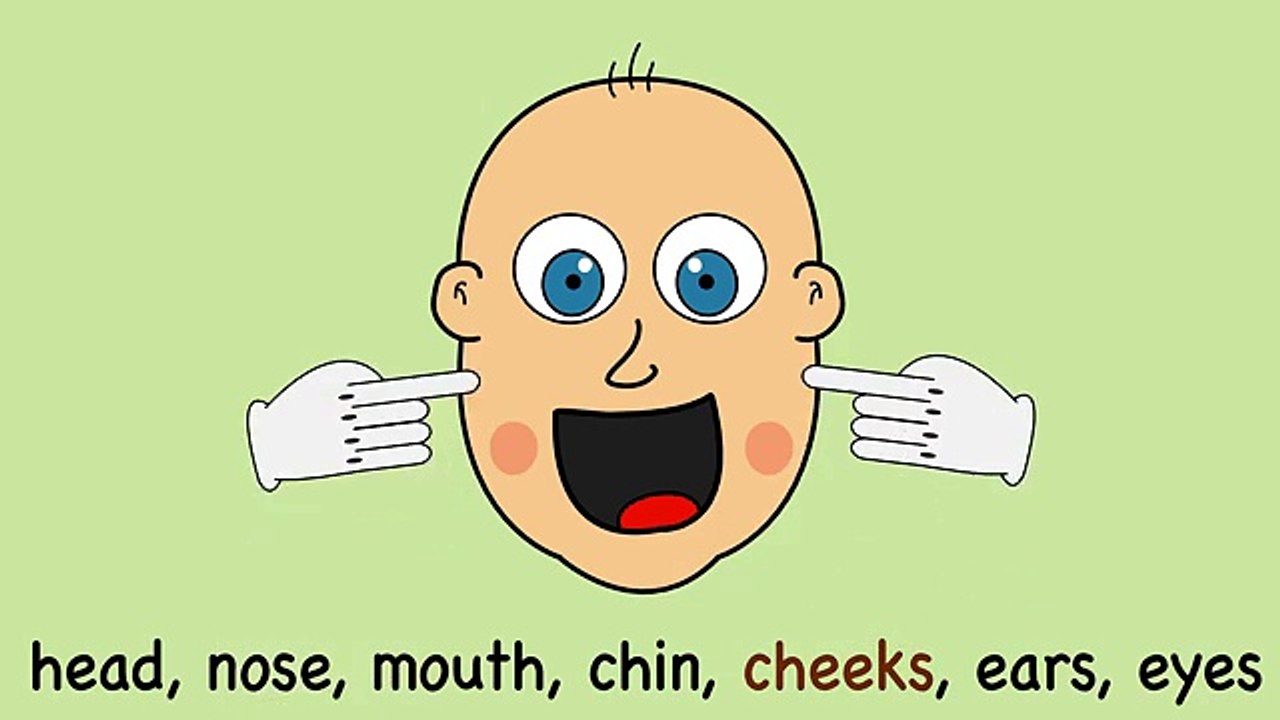 Parts Of The Face Song