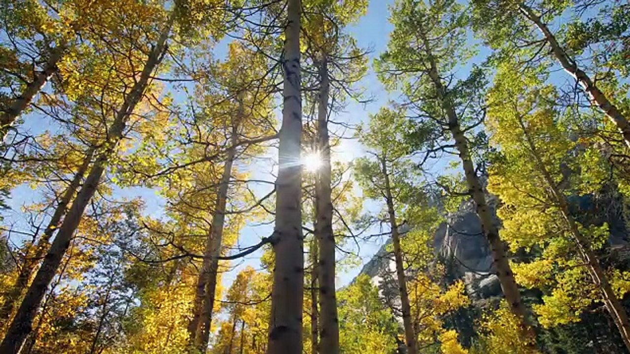 Peaceful Relaxation 4K | Nature Relaxation™ Sizzler (Free Download)