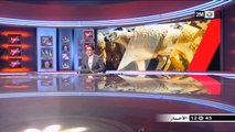 أخبار الظهيرة المغرب اليوم 23 غشت 2018 على القناة الثانية 2M كاملة