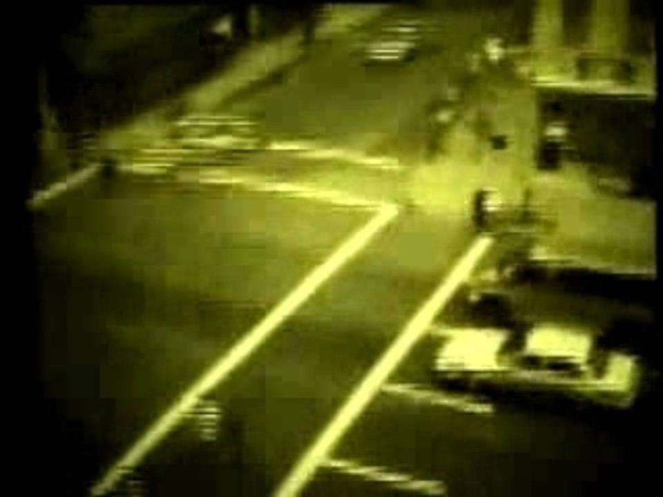 Zenzile - Smell the roses