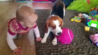 Dog and Baby Learning How to Love | Charlie the Dog and Baby