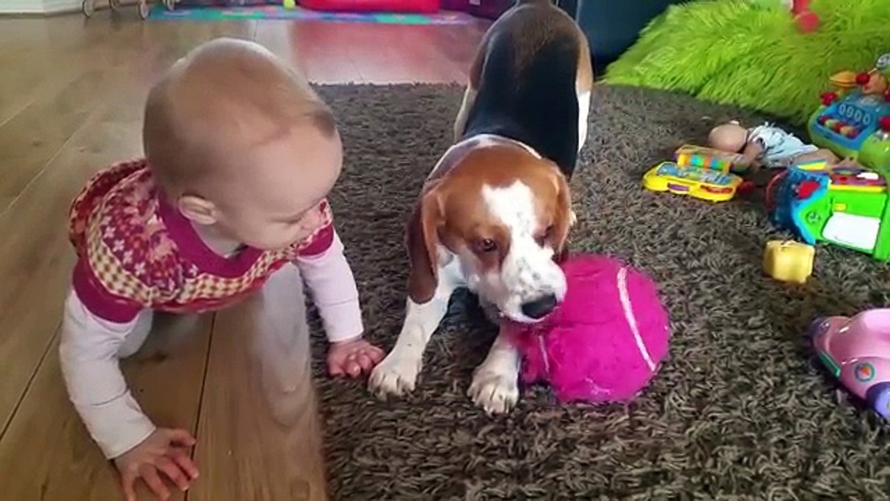Dog and Baby Learning How to Love | Charlie the Dog and Baby