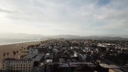 Mustang Murals in Venice Beach