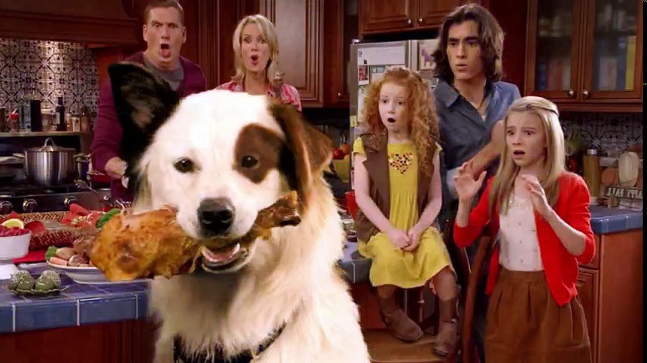 Dog With a Blog S1 20 Avery's Wild Party   Dog With a Blog   720p