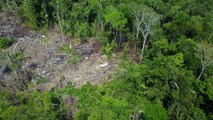 Rare Drone Footage Shows Amazon Tribe in Brazil