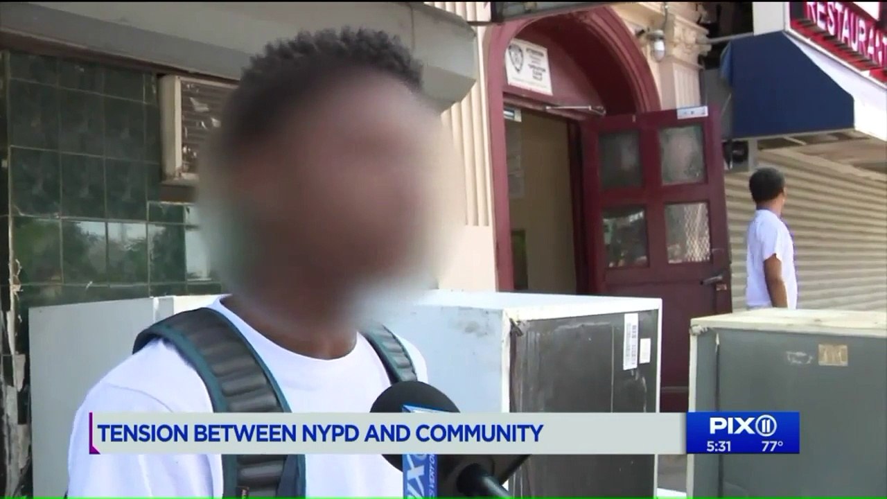 Teen Brothers Filmed Berating Cops Arrested in Separate Robberies: NYPD