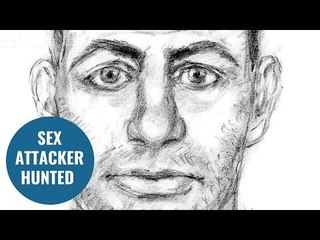 Detectives release artist's sketch of sex beast who attempted to rape girl aged 11
