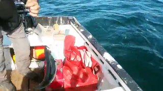 plus belles vidéos de pêche en mer
