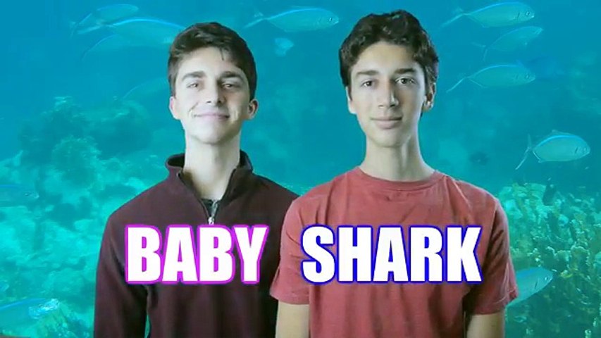 Baby Shark | Kids Songs | Nursery Rhymes for Children