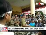 Gelar Demo, Warga Aceh Singkil Bawa Buaya Raksasa