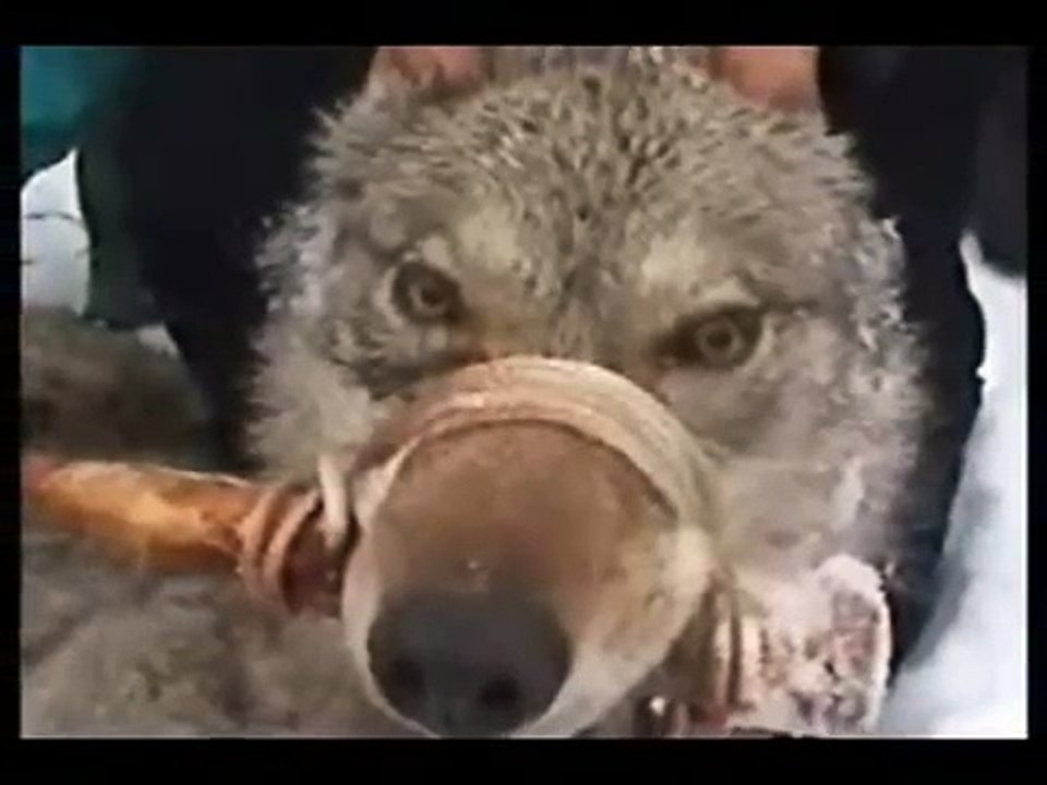 My everything (ATB new)