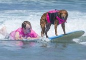 Quadriplegic Teen Makes Waves With Therapy Dog Right by His Side