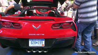 new Corvette C7 Stingray Start Up + Exhaust SOUNDS!