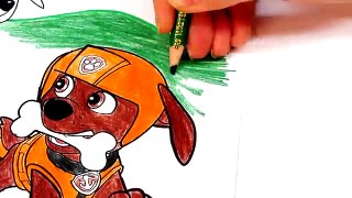 Paw Patrol Coloring Paw Patrol Coloring Book Video For Kids