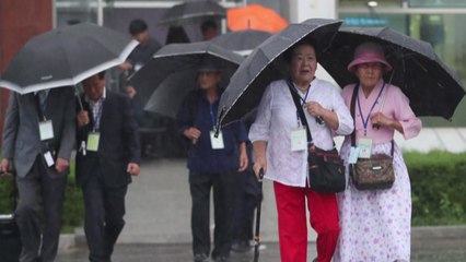 태풍도 막지 못한 그리움...이산가족 2차 상봉 / YTN