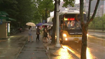 세종 스쳐간 솔릭...태풍 '제비' 한반도 영향 있을까? / YTN