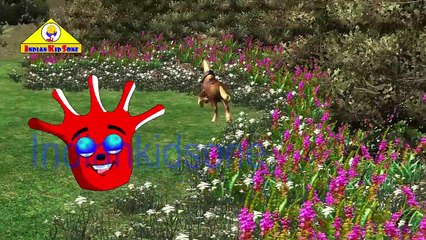 Finger Family Nursery Rhymes for Children Horse Cartoons | Finger Family Children Nursery