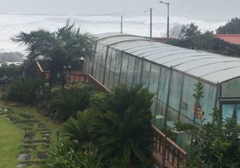 Typhoon Soulik Hammers South Korea's Jeju Island