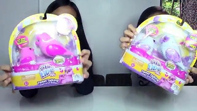 Little Live Pets Tweet Talking Owl and Baby Kids Toys