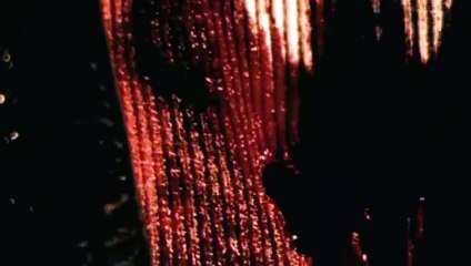 Slip 2006      Pt 01 part 1/2