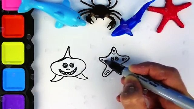Learning Sea Animal Names Coloring Video for Kids Drawing Shark Dolphin Crab Star Sea Fish
