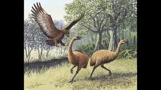 Top 10 Most Dangerous Prehistoric Birds