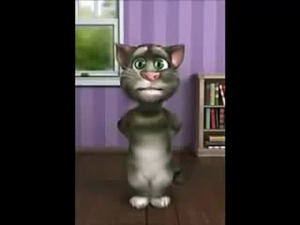 Video de gato tom yo solo quiero darte un beso para enviar por WhatsApp