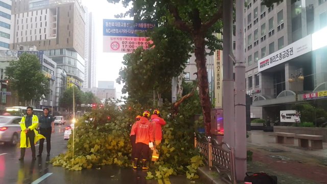 [태풍 피해 상황] 1명 실종·2명 부상...일부 공항 정상 운영 / YTN