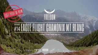 Bald Eagle POV flight Chamonix, Mont Blanc