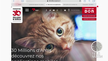 30 Millions d'amis lance son application pour dénoncer les actes de cruauté