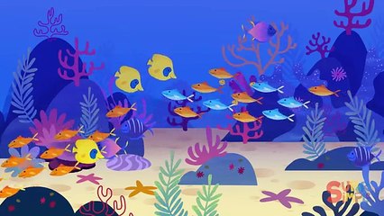 Buenos Dias, Señor Gallo Y Más Canciones Infantiles