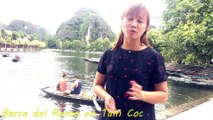 Barca del Remo en Tam Coc, Ninh Binh - Viajes Vietnam