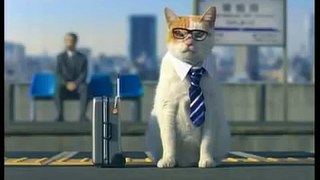 Cute Japanese Kitty Cat Commercial Jalan