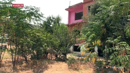 Adana'da susuz ve aç bırakılan yaralı at tedaviye alındı