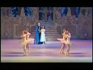 Tchaikovsky Swan Lake (Trip Hop remix)