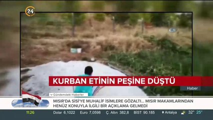 Tilkiye et ikram ettiler