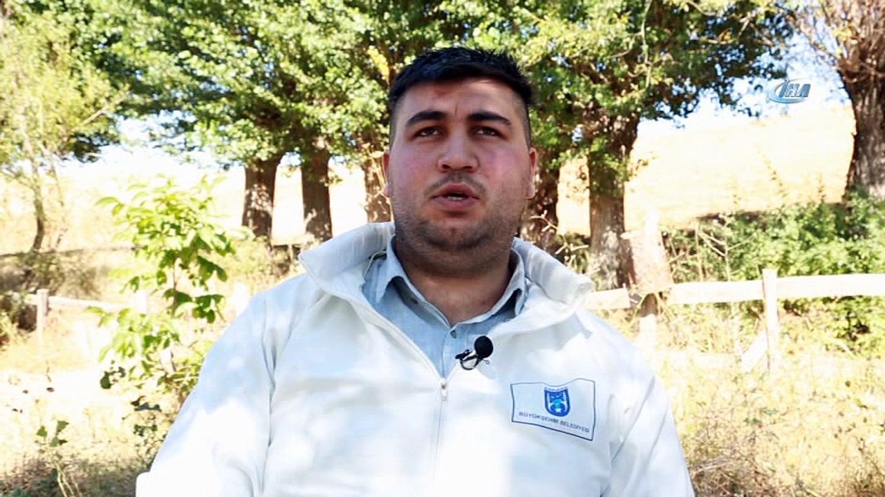 Başkent'te “ballı” hasat