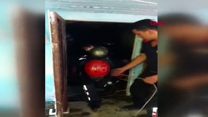 Kurbanlık koçunu kurtaran itfaiyeye baklavalı teşekkür