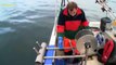 Amazing Big Fishing Catching Skill, Gill Net Fishing on The Sea