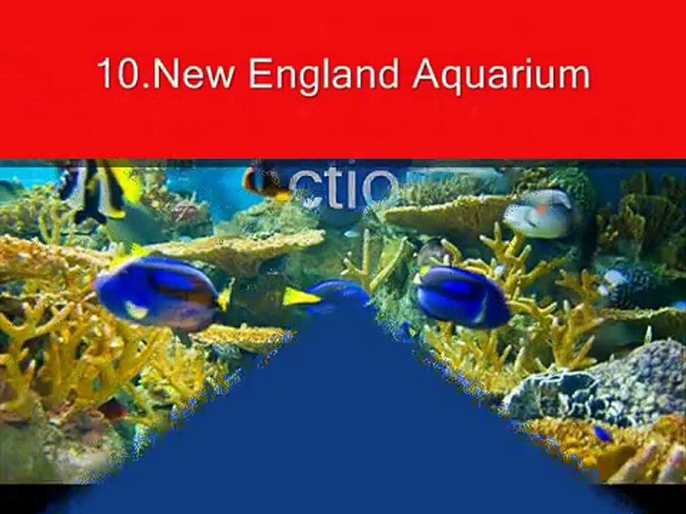 10 Top Tourist Attrions in Boston