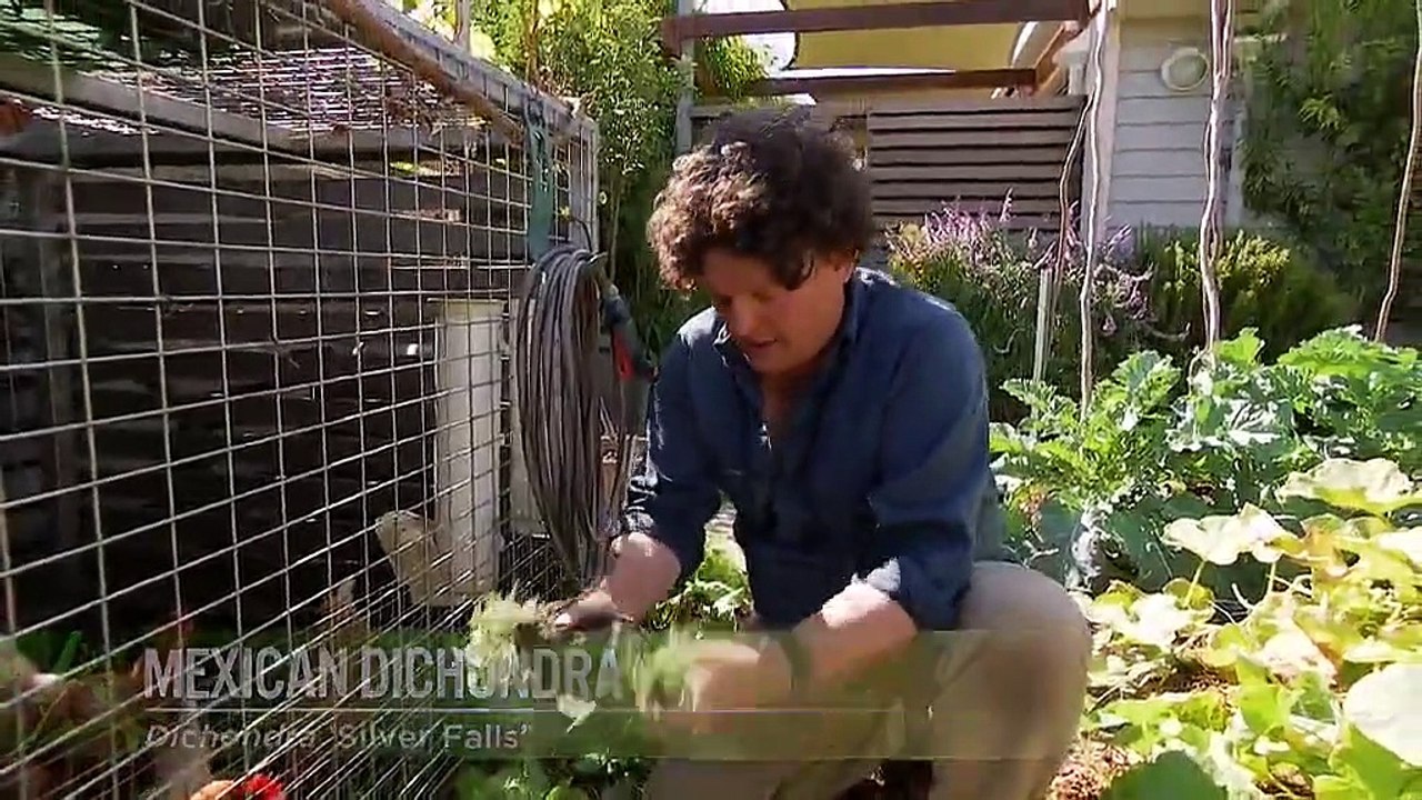 Gardening australia s29e23