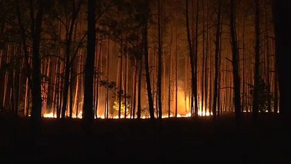 Még mindig lángol az erdő Berlin mellett