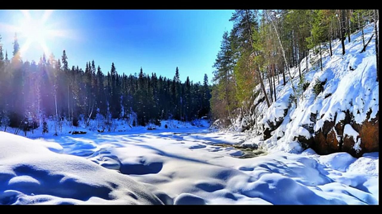 Arctic Animals Song for Children