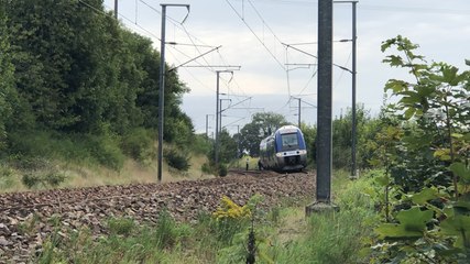 Un homme percuté par un train près de Bayeux