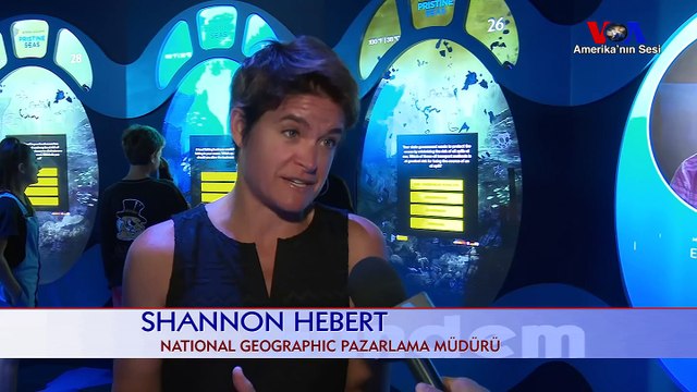 Times Meydanı'nda Okyanus Macerası