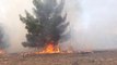 Şanlıurfa'da Göbeklitepe Çevresindeki Ormanlık Alanda Yangın