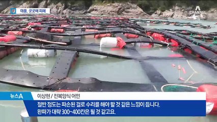 무너지고 쓰러지고…태풍에 농사 망친 농민들