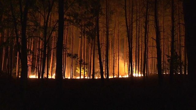 Берлин в дыму