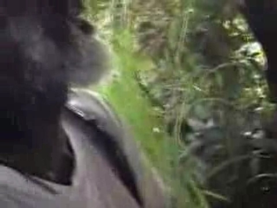 The Congos - Fisherman (acoustic spliff version)